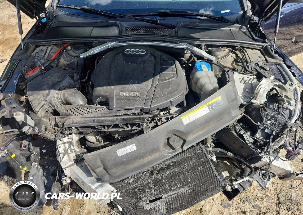 2018 Audi A4 Premium Plus VIN:WAUENAF4XJN017557 - 11