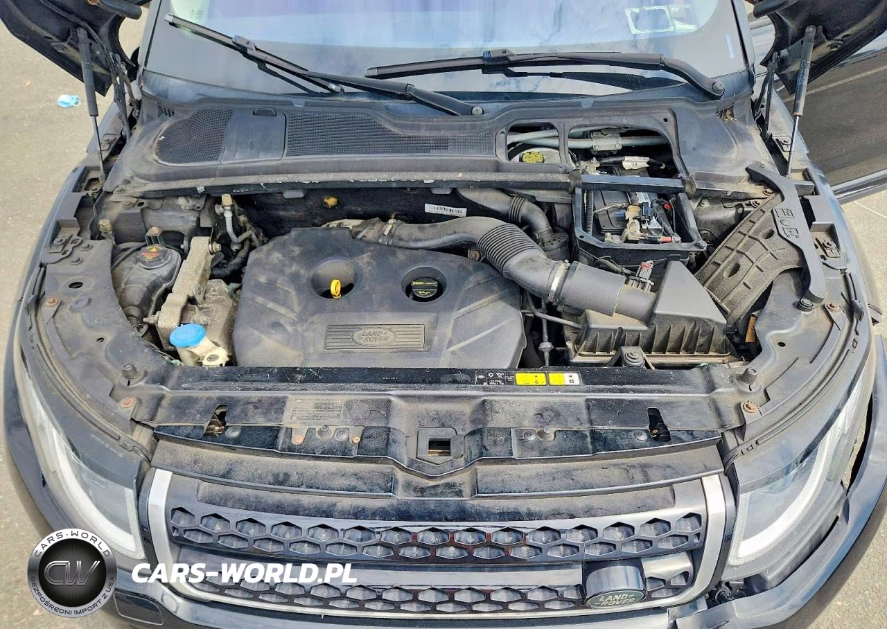 2017 Land Rover Range Rover Evoque Se VIN:SALVP2BG7HH186066 - 11
