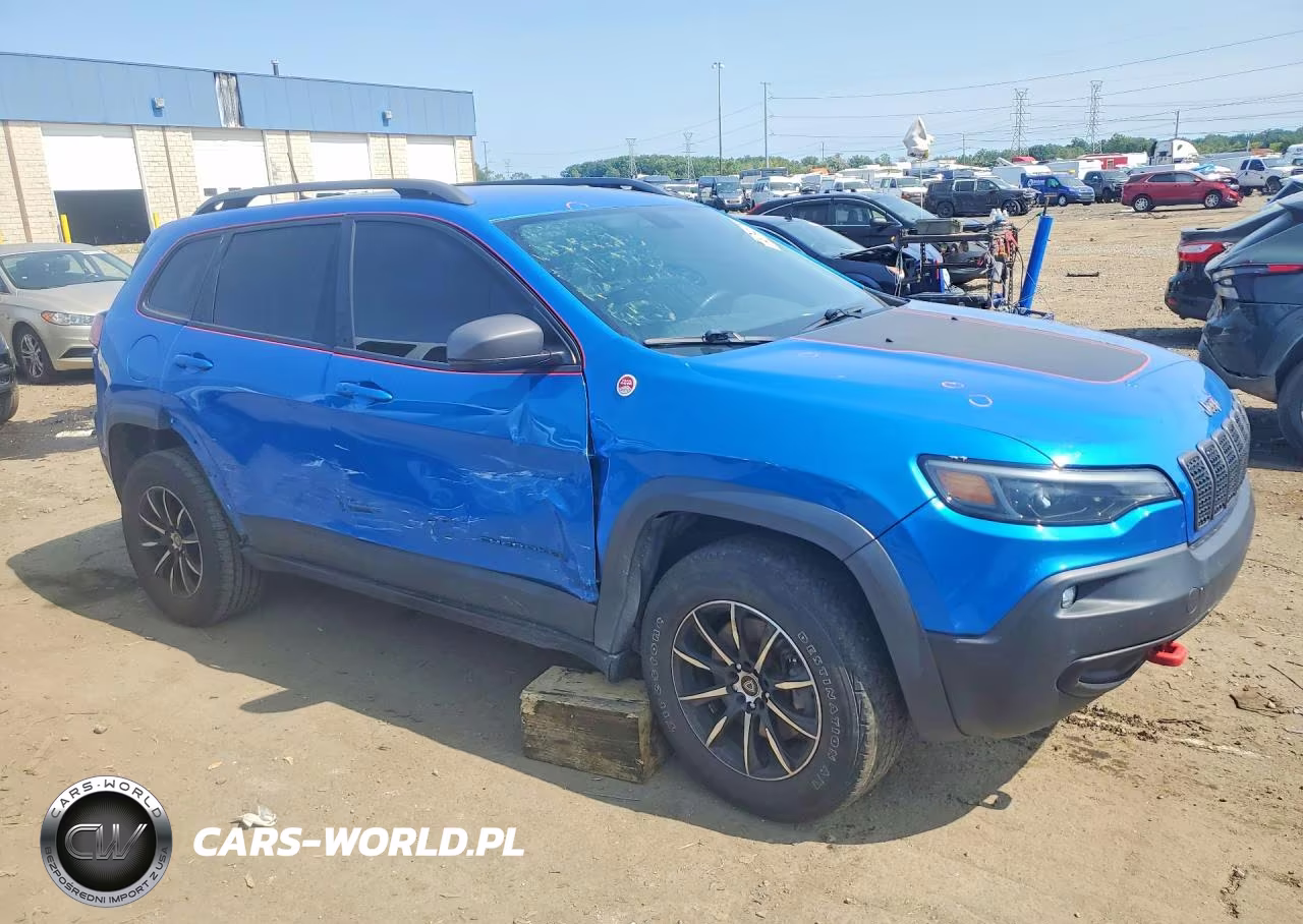 2020 Jeep Cherokee Trailhawk VIN:1C4PJMBXXLD580013 - 4