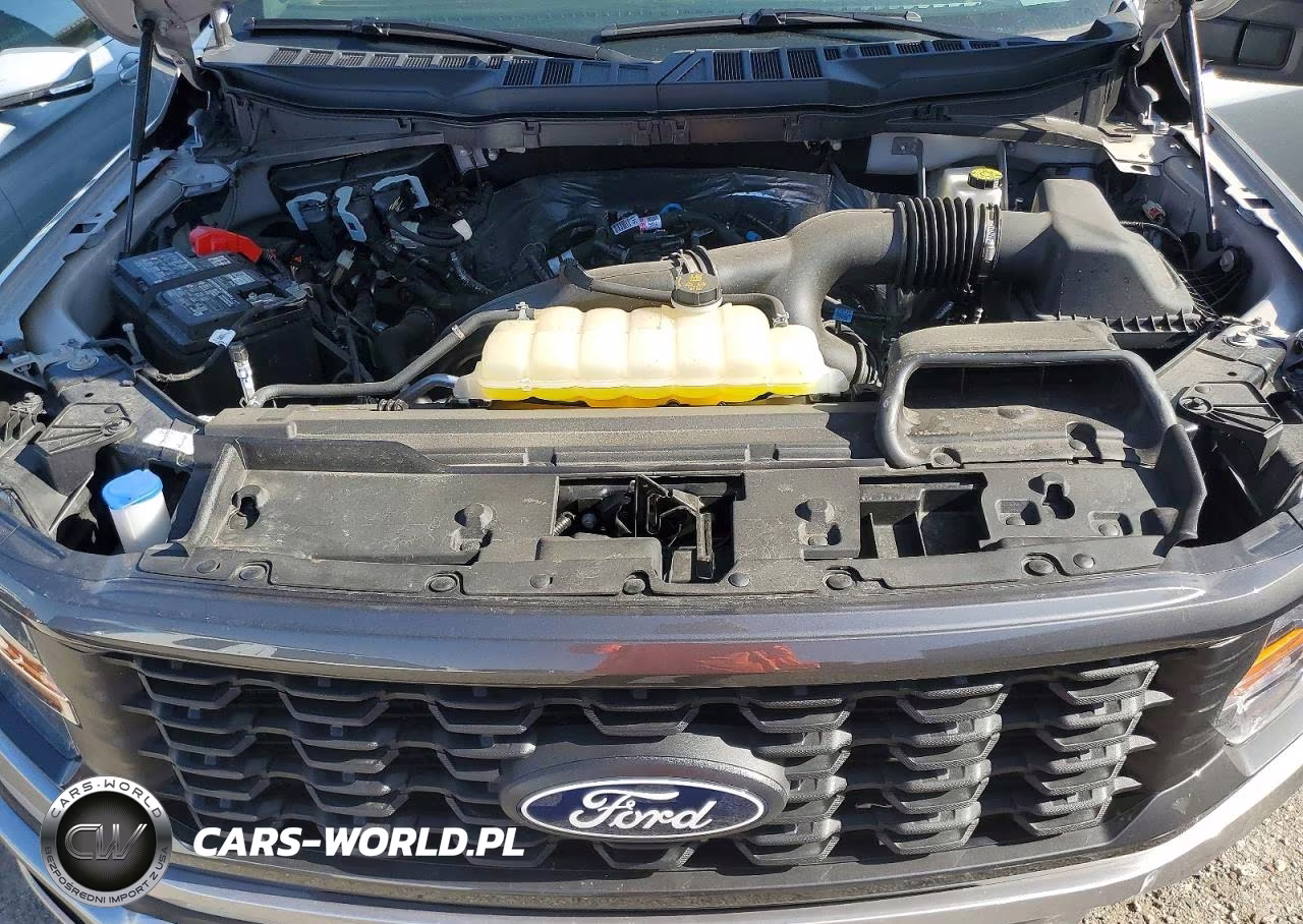 2025 Ford F150 Stx VIN:1FTEW2LP3SKF76519 - 11