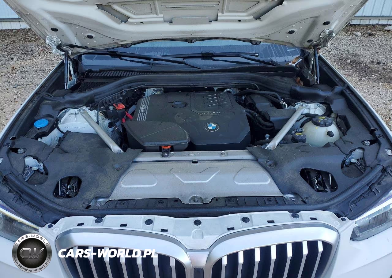 2022 BMW X3 Sdrive30I VIN:5UX43DP00N9M68107 - 12