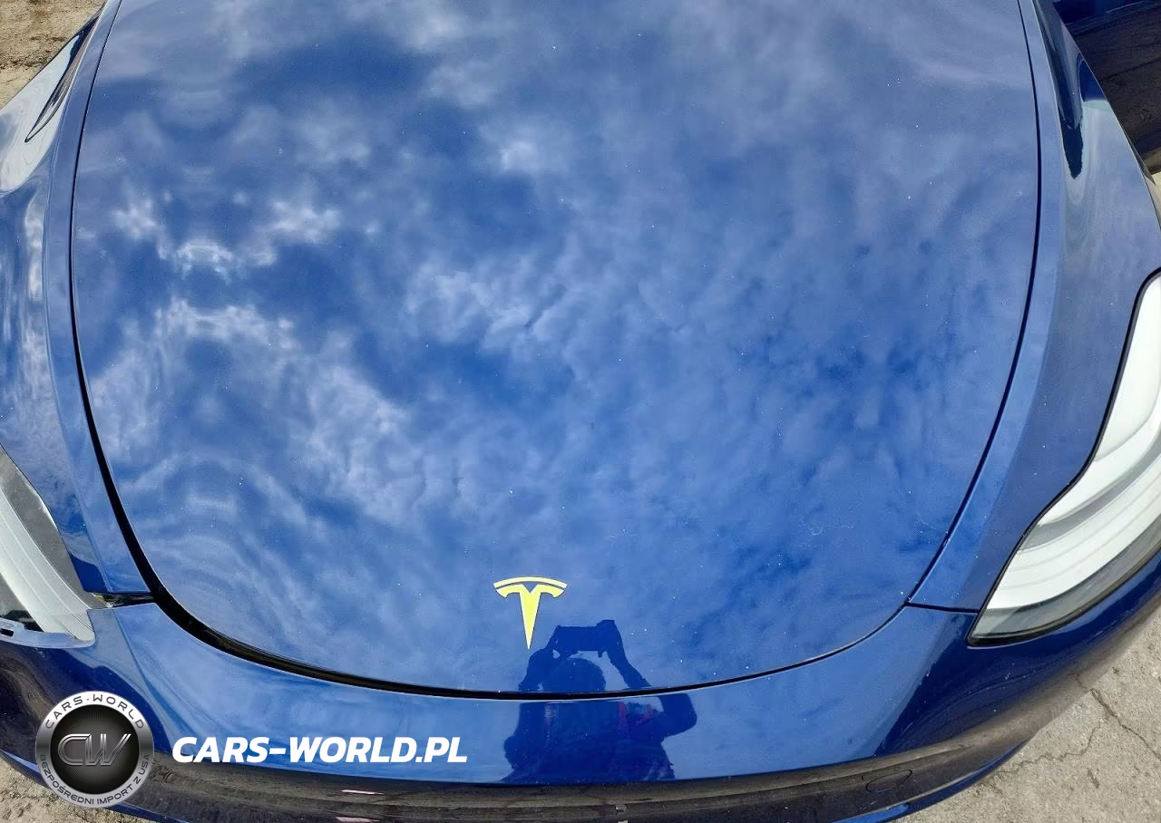 2021 Tesla Model Y VIN:5YJYGDEE4MF297078 - 12
