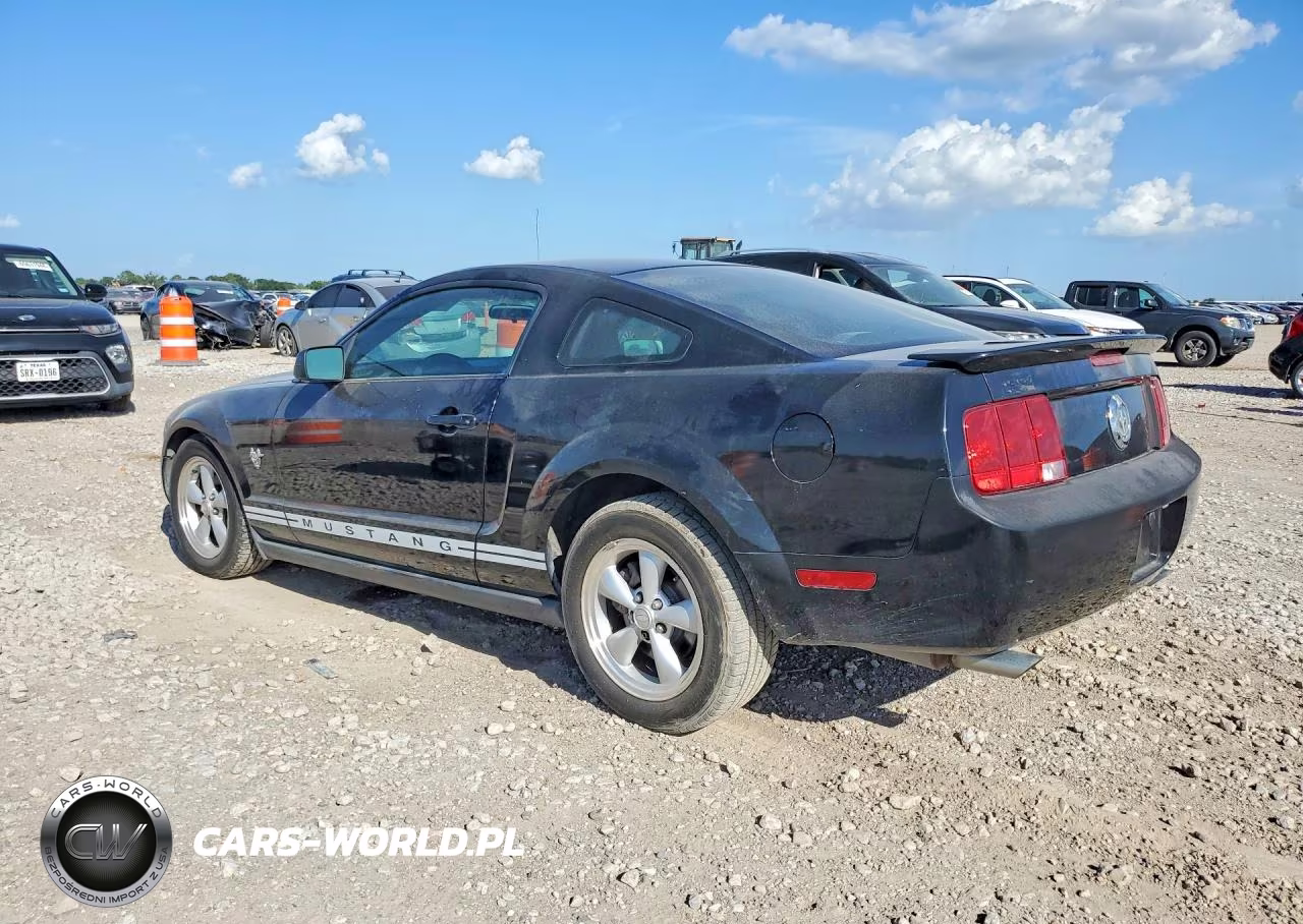 2009 Ford Mustang VIN:1ZVHT80N395110090 - 2