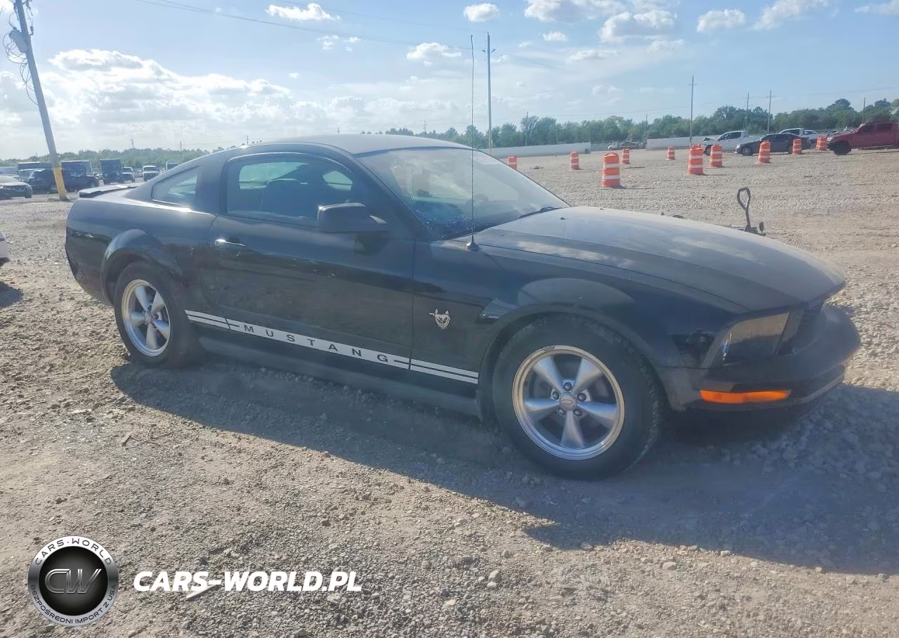 2009 Ford Mustang VIN:1ZVHT80N395110090 - 4
