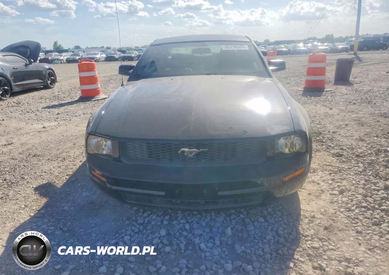 2009 Ford Mustang VIN:1ZVHT80N395110090 - 5