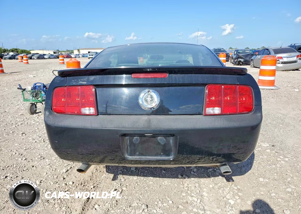 2009 Ford Mustang VIN:1ZVHT80N395110090 - 6