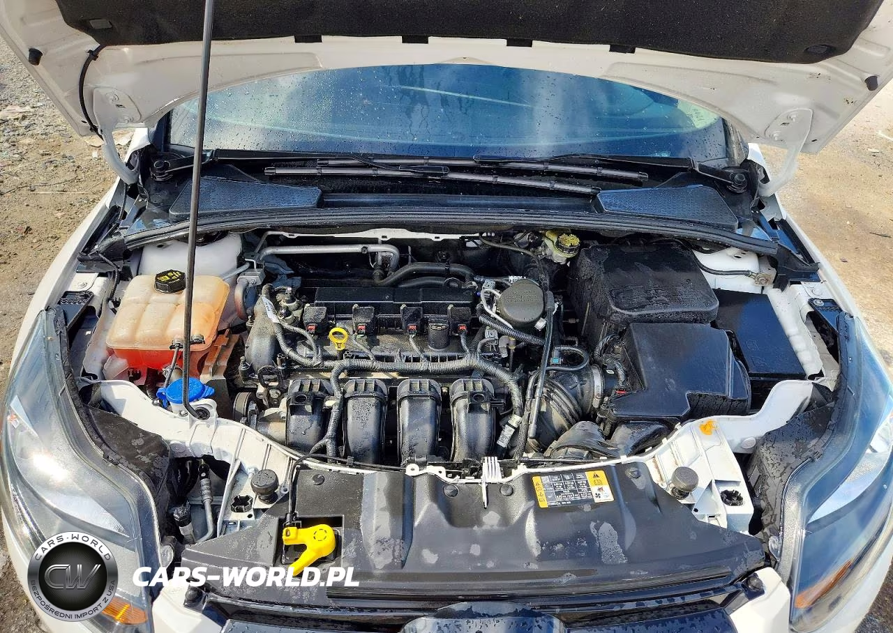 2014 Ford Focus Titanium VIN:1FADP3J2XEL405082 - 11