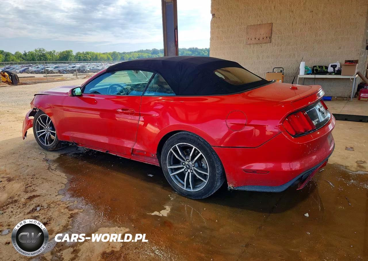 2017 Ford Mustang VIN:1FATP8UH8H5254308 - 2