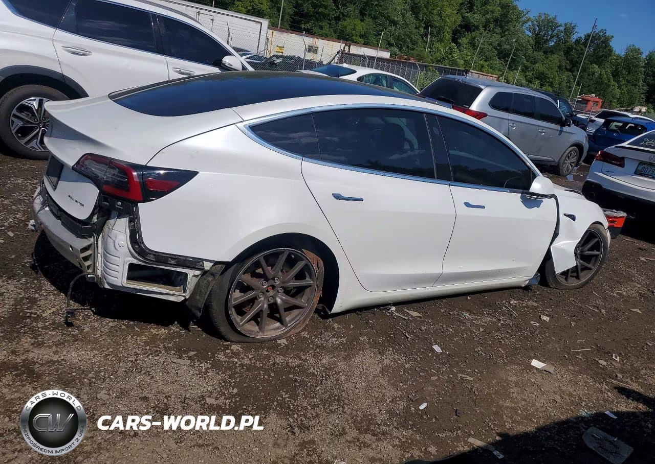 2019 Tesla Model 3 VIN:5YJ3E1EB4KF469241 - 3