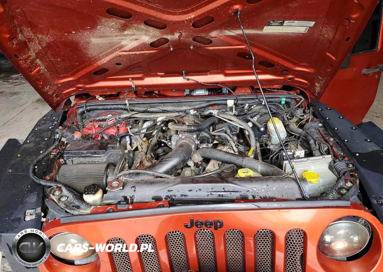 2009 Jeep Wrangler Unlimited Rubicon VIN:1J4GA691X9L761649 - 12