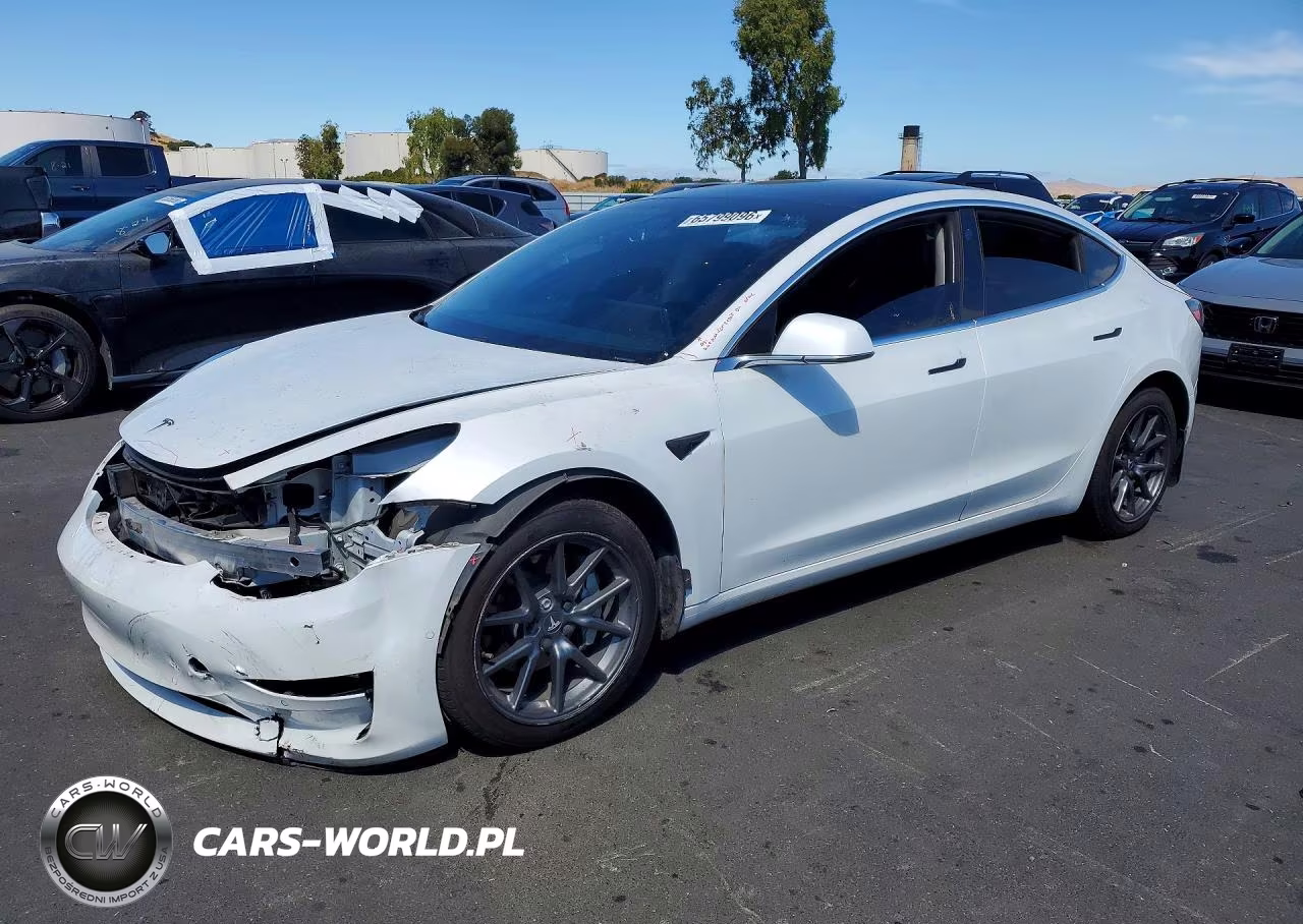 2020 Tesla Model 3