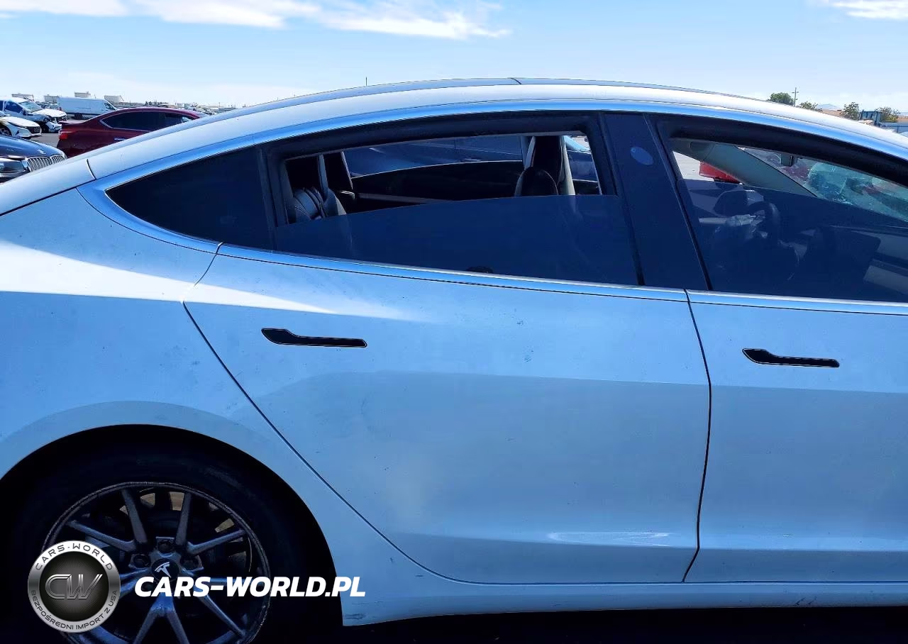 2020 Tesla Model 3 VIN:5YJ3E1EA7LF804517 - 10