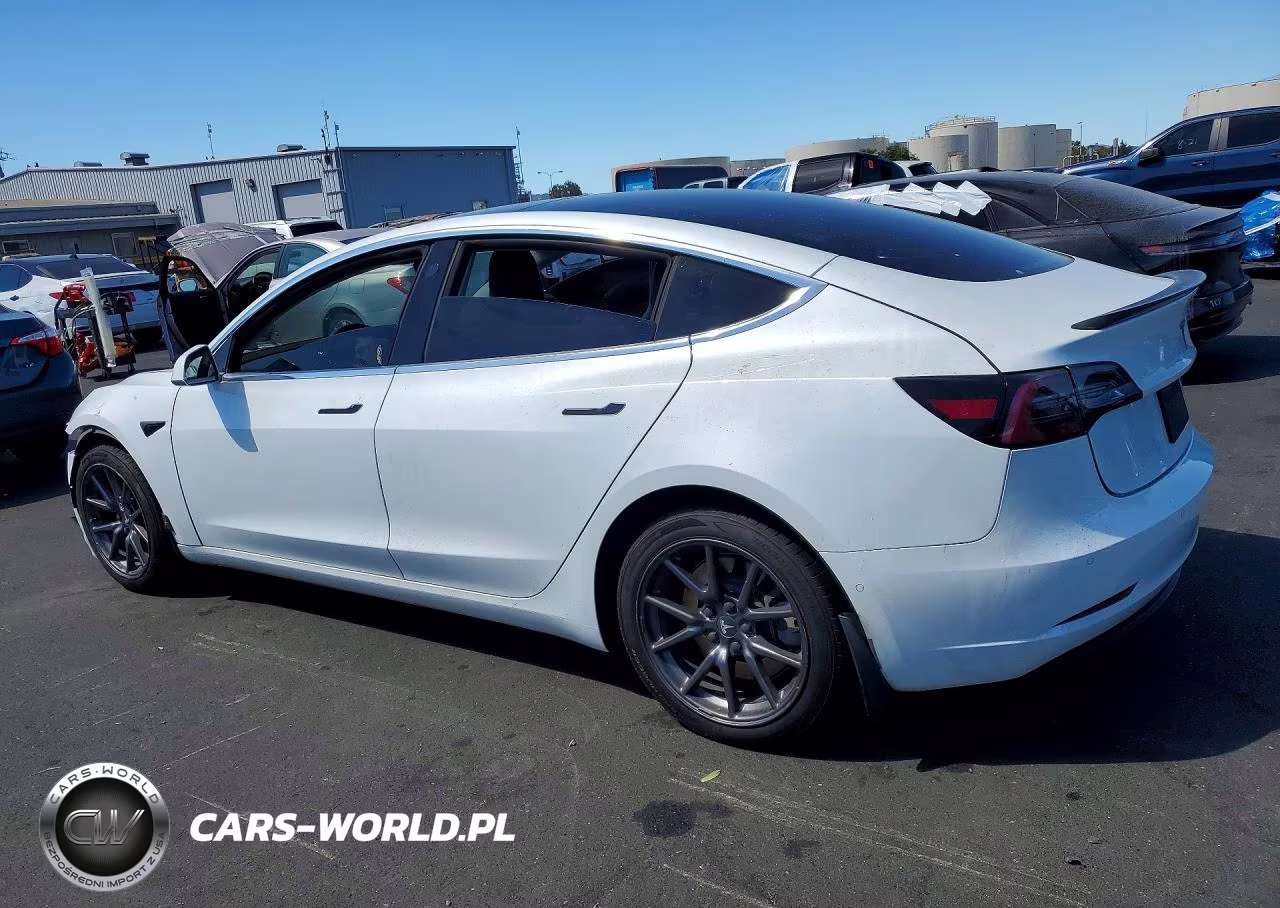 2020 Tesla Model 3 VIN:5YJ3E1EA7LF804517 - 2