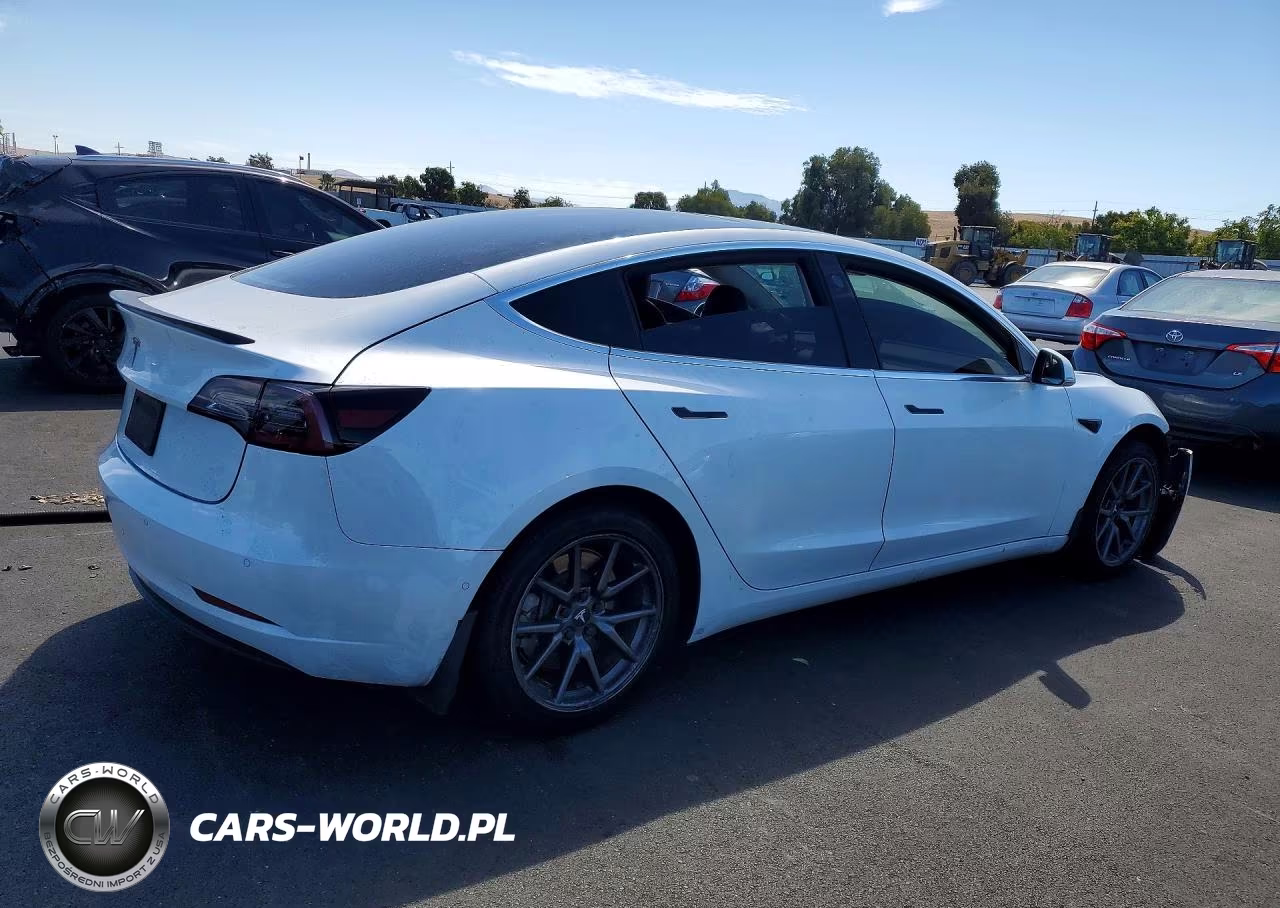 2020 Tesla Model 3 VIN:5YJ3E1EA7LF804517 - 3