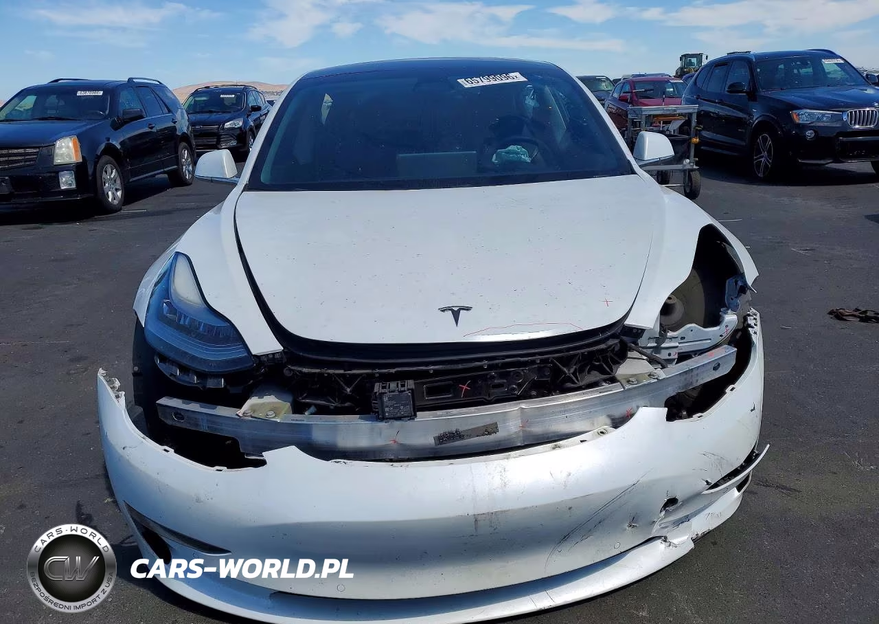 2020 Tesla Model 3 VIN:5YJ3E1EA7LF804517 - 5