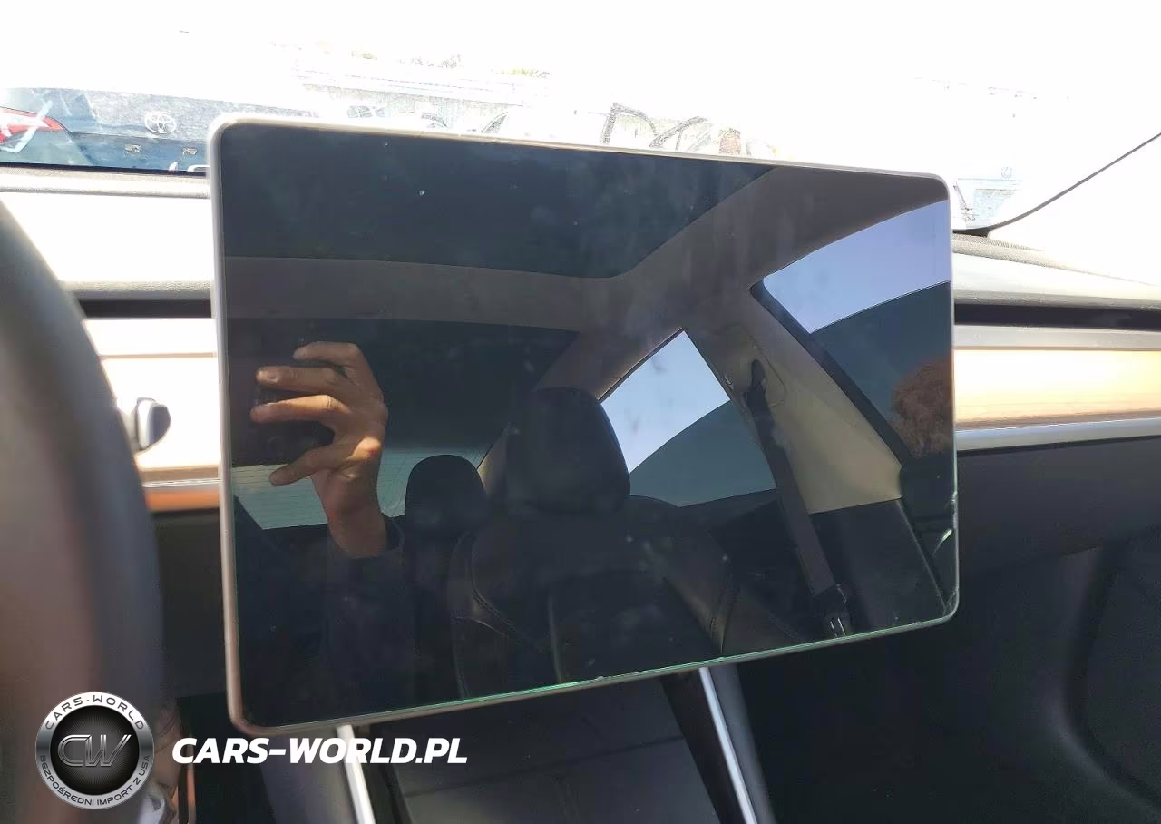 2020 Tesla Model 3 VIN:5YJ3E1EA7LF804517 - 9