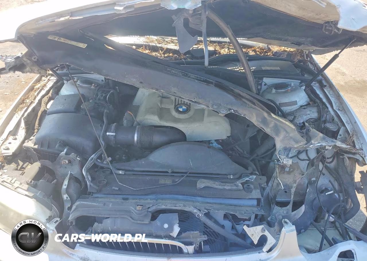 2003 BMW 745 I VIN:WBAGL63463DP64548 - 11