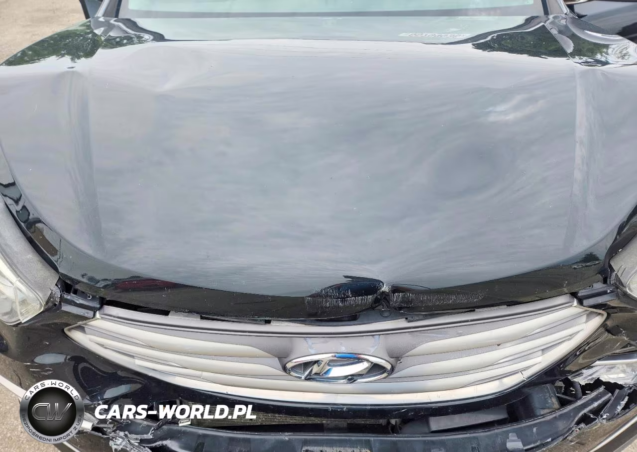2017 Hyundai Santa Fe Sport 2.0T VIN:5XYZUDLA1HG502612 - 12