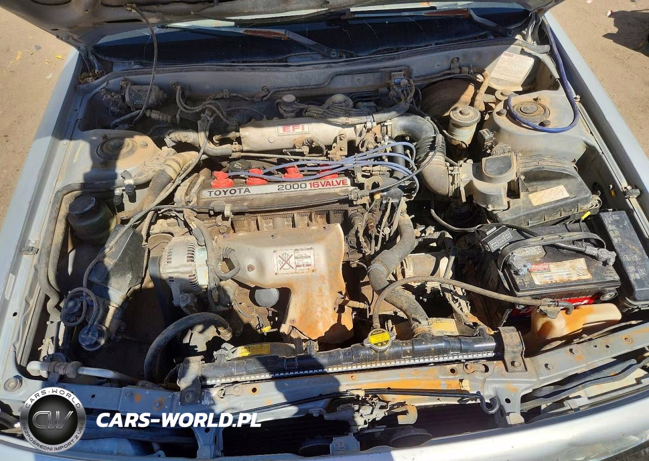 1989 Toyota Camry Deluxe VIN:JT2SV21JXK0025920 - 11