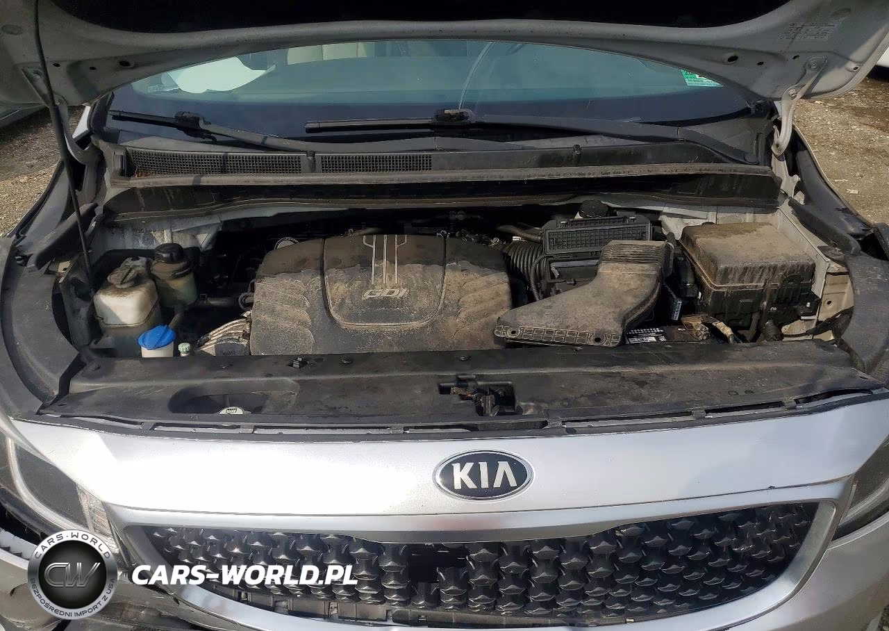 2016 Kia Sedona Lx VIN:KNDMB5C19G6212481 - 12