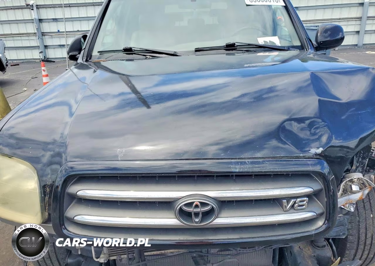 2002 Toyota Sequoia Limited VIN:5TDZT38A62S106630 - 12