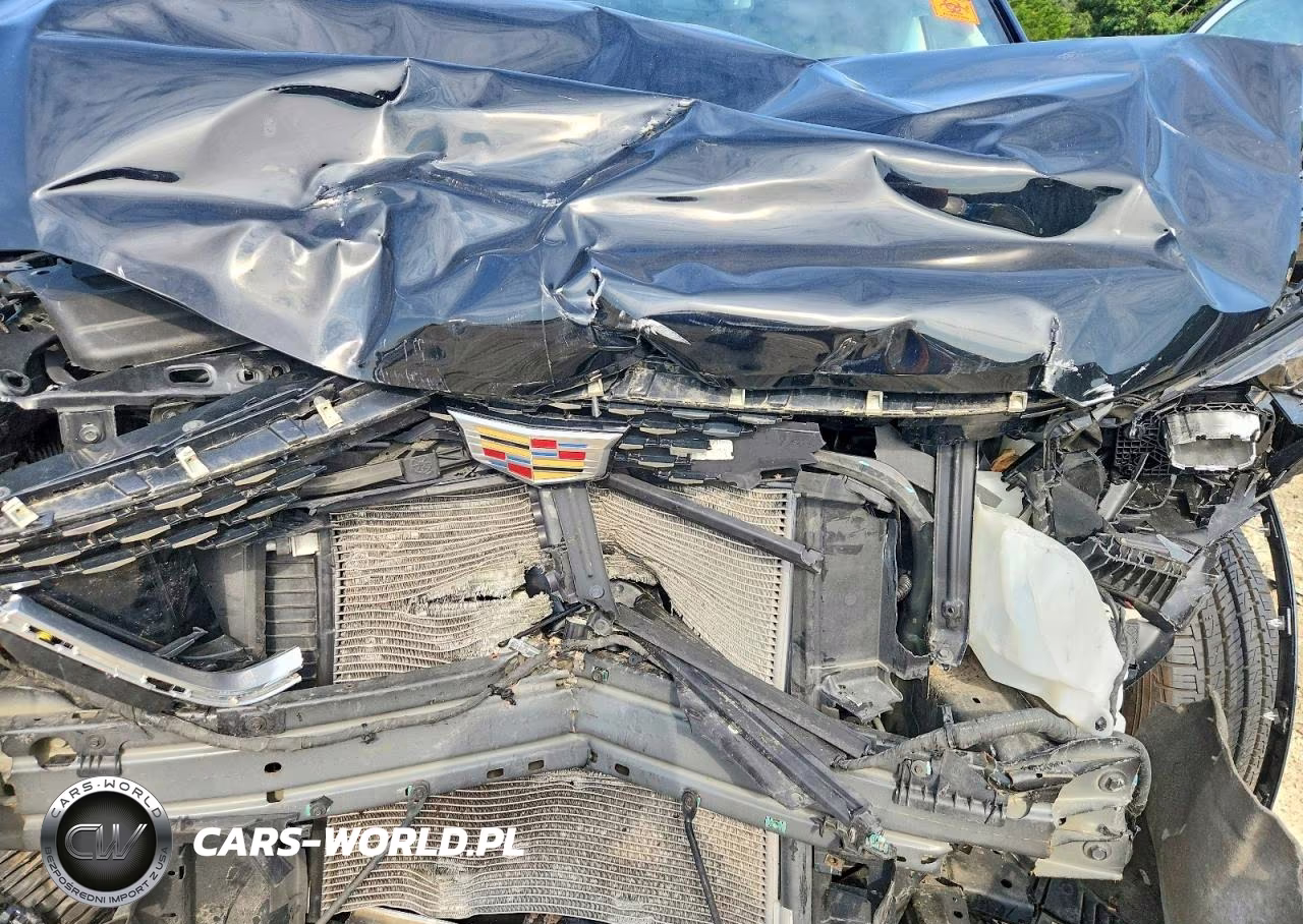 2020 Cadillac Xt6 Premium Luxury VIN:1GYKPDRS0LZ100612 - 12