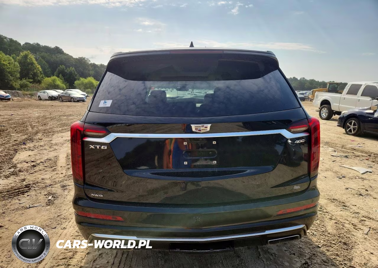 2020 Cadillac Xt6 Premium Luxury VIN:1GYKPDRS0LZ100612 - 6