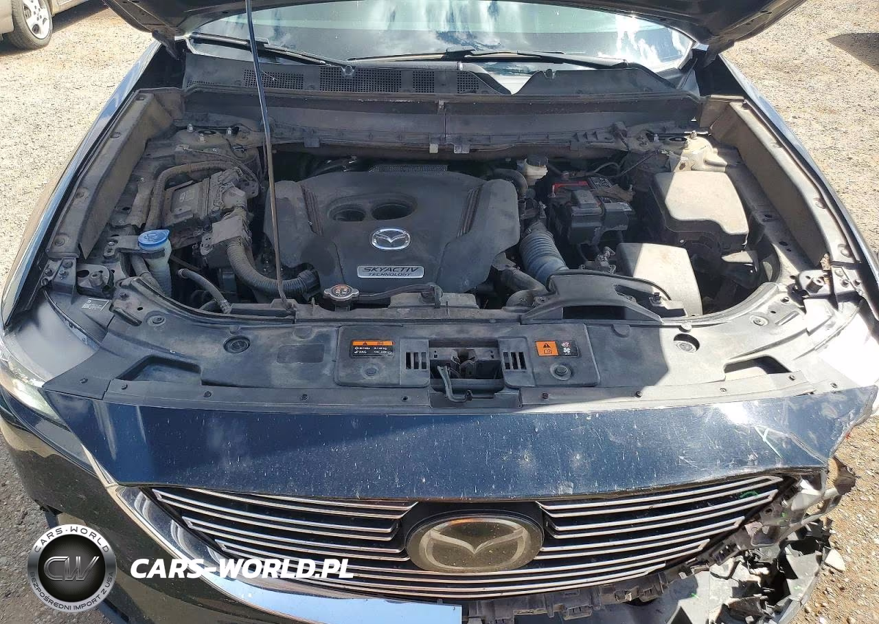 2018 Mazda Cx-9 Sport VIN:JM3TCABY5J0205609 - 11