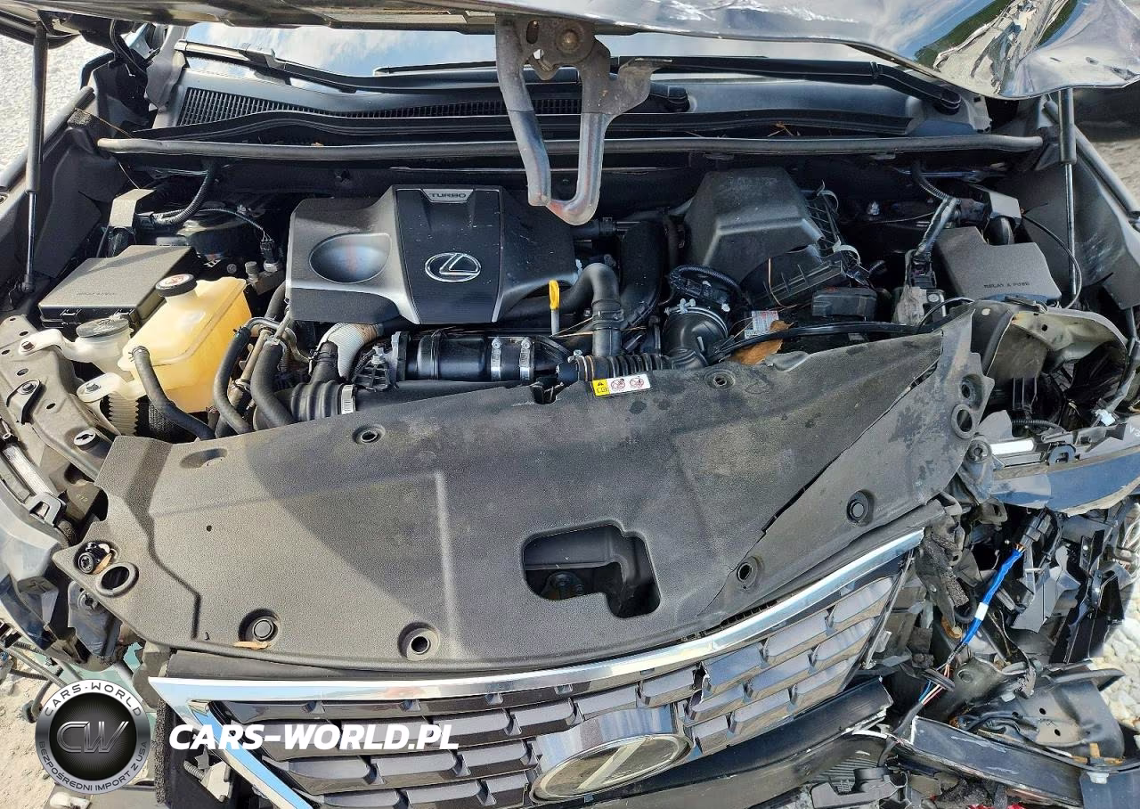 2020 Lexus Nx 300 VIN:JTJDARBZ5L2177289 - 11