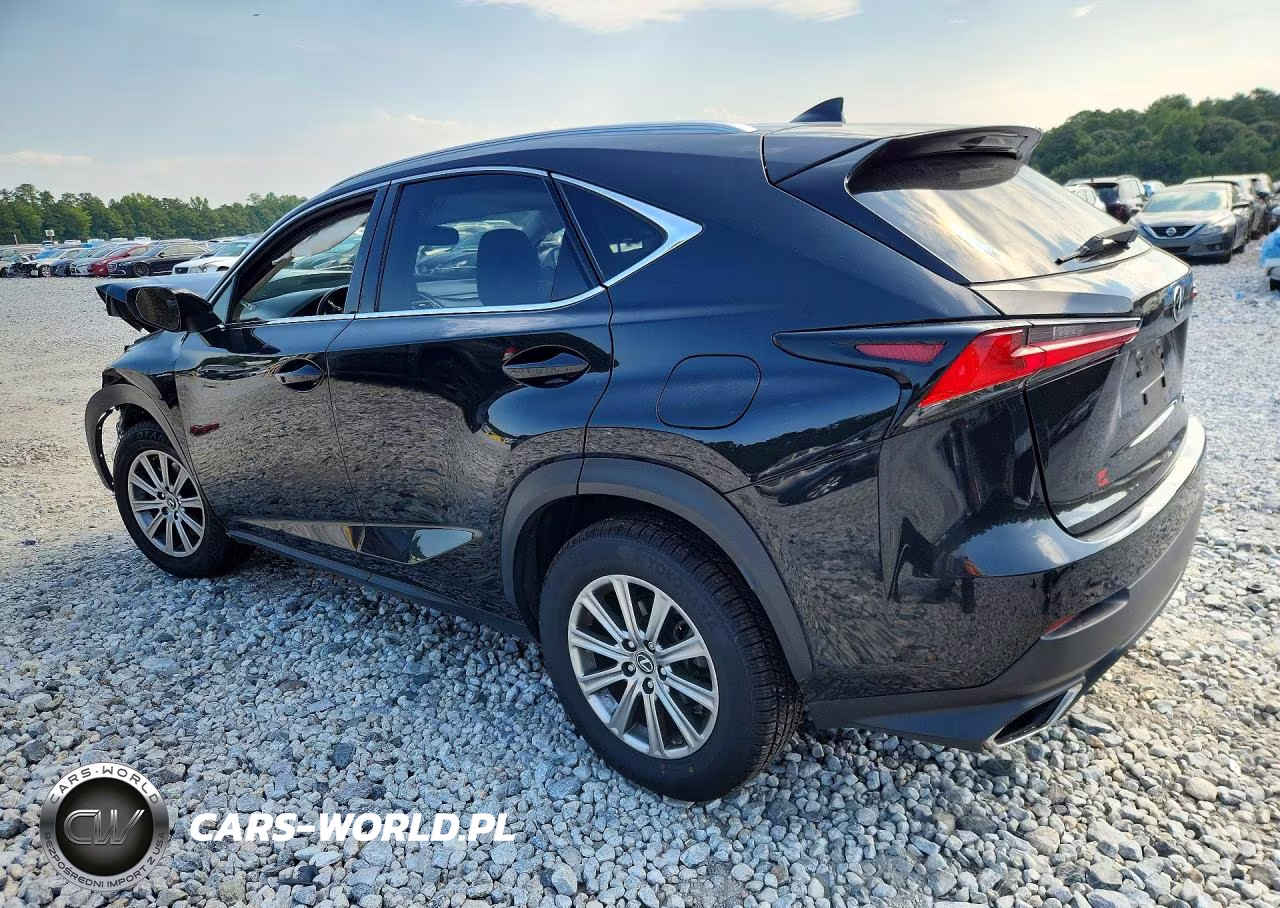 2020 Lexus Nx 300 VIN:JTJDARBZ5L2177289 - 2