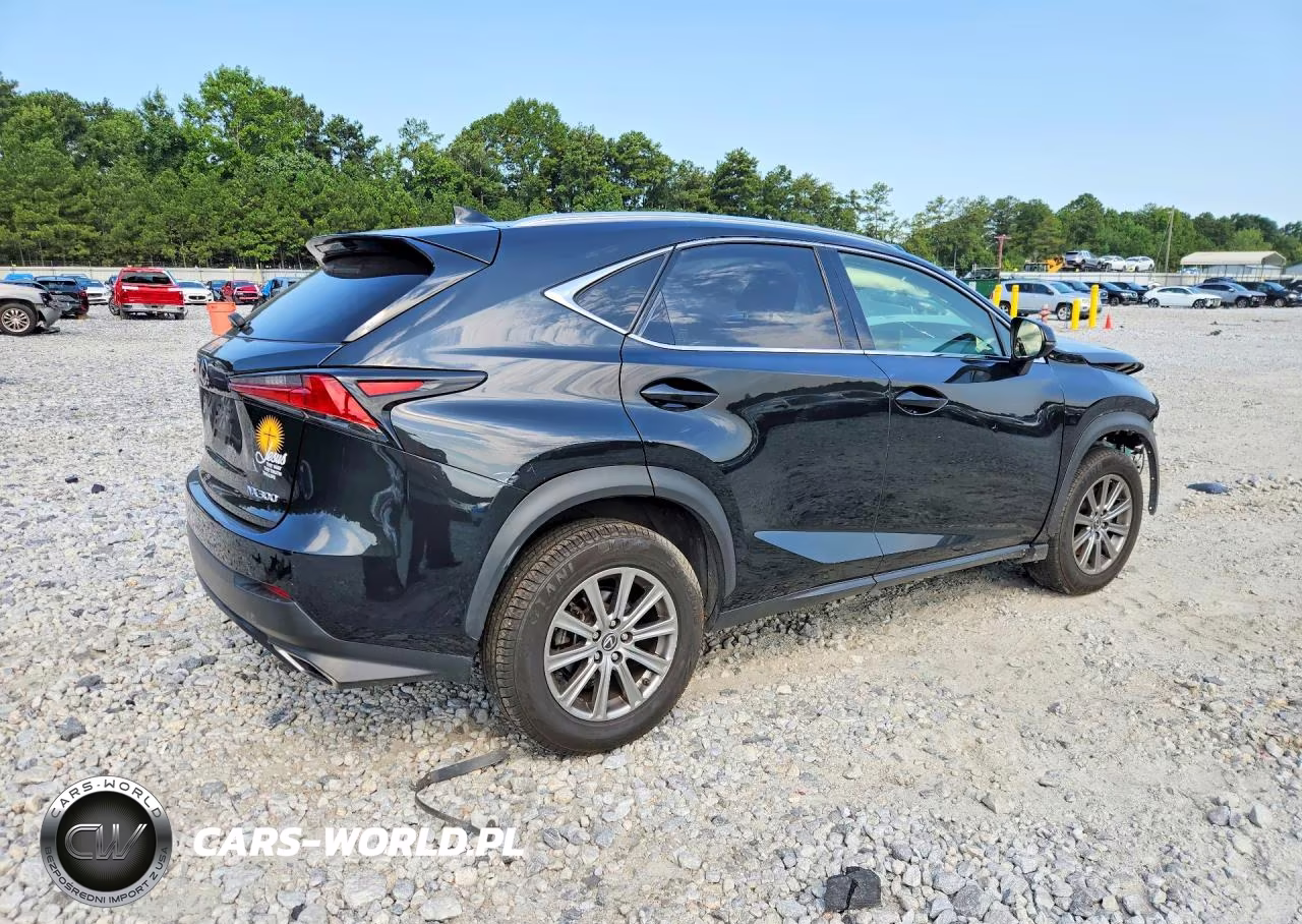 2020 Lexus Nx 300 VIN:JTJDARBZ5L2177289 - 3