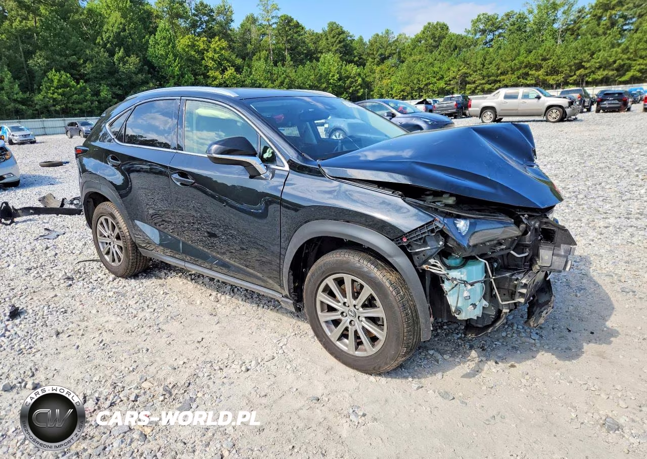2020 Lexus Nx 300 VIN:JTJDARBZ5L2177289 - 4