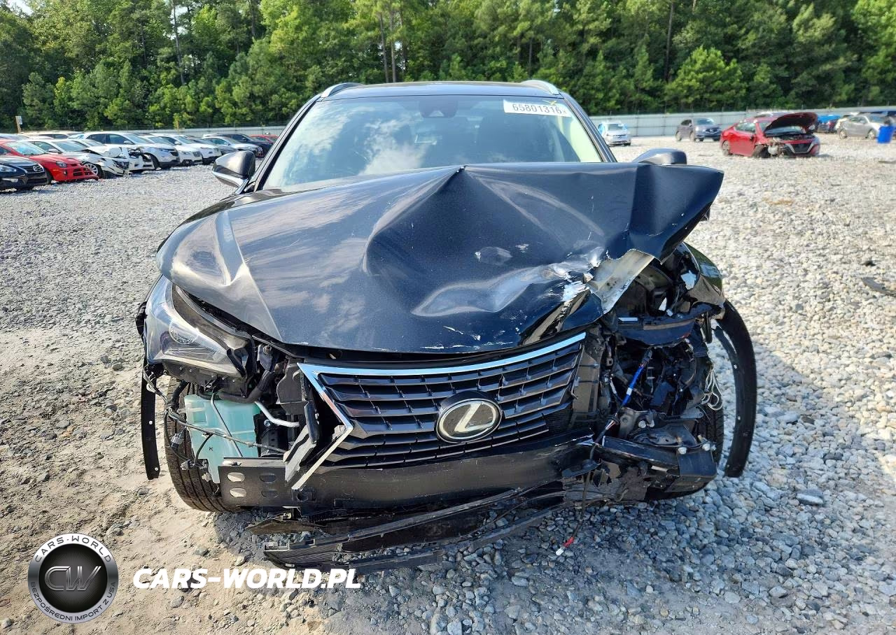 2020 Lexus Nx 300 VIN:JTJDARBZ5L2177289 - 5