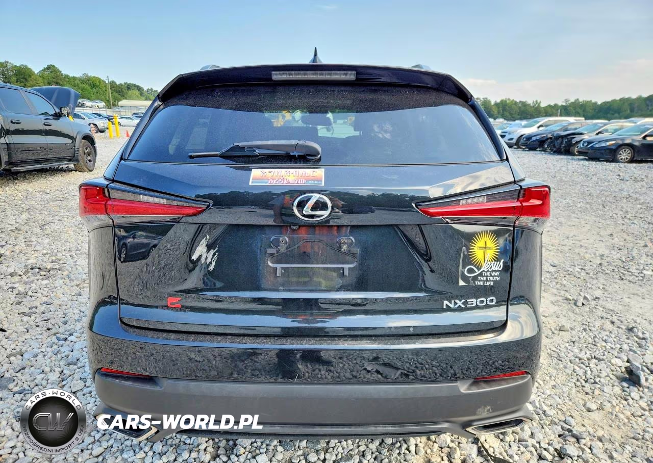 2020 Lexus Nx 300 VIN:JTJDARBZ5L2177289 - 6