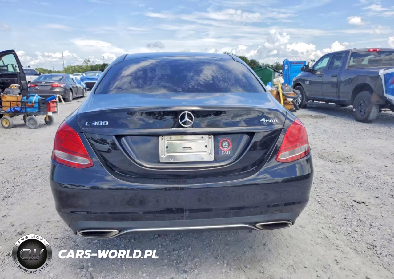 2017 Mercedes-Benz C 300 4Matic VIN:55SWF4KB9HU221428 - 6