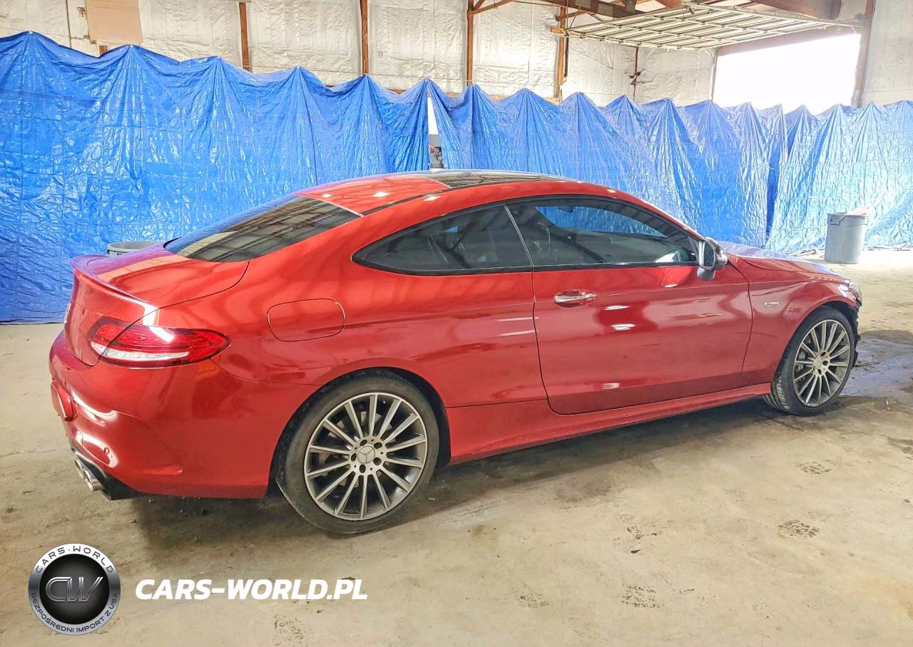 2019 Mercedes-Benz C 43 Amg VIN:WDDWJ6EB5KF869297 - 3