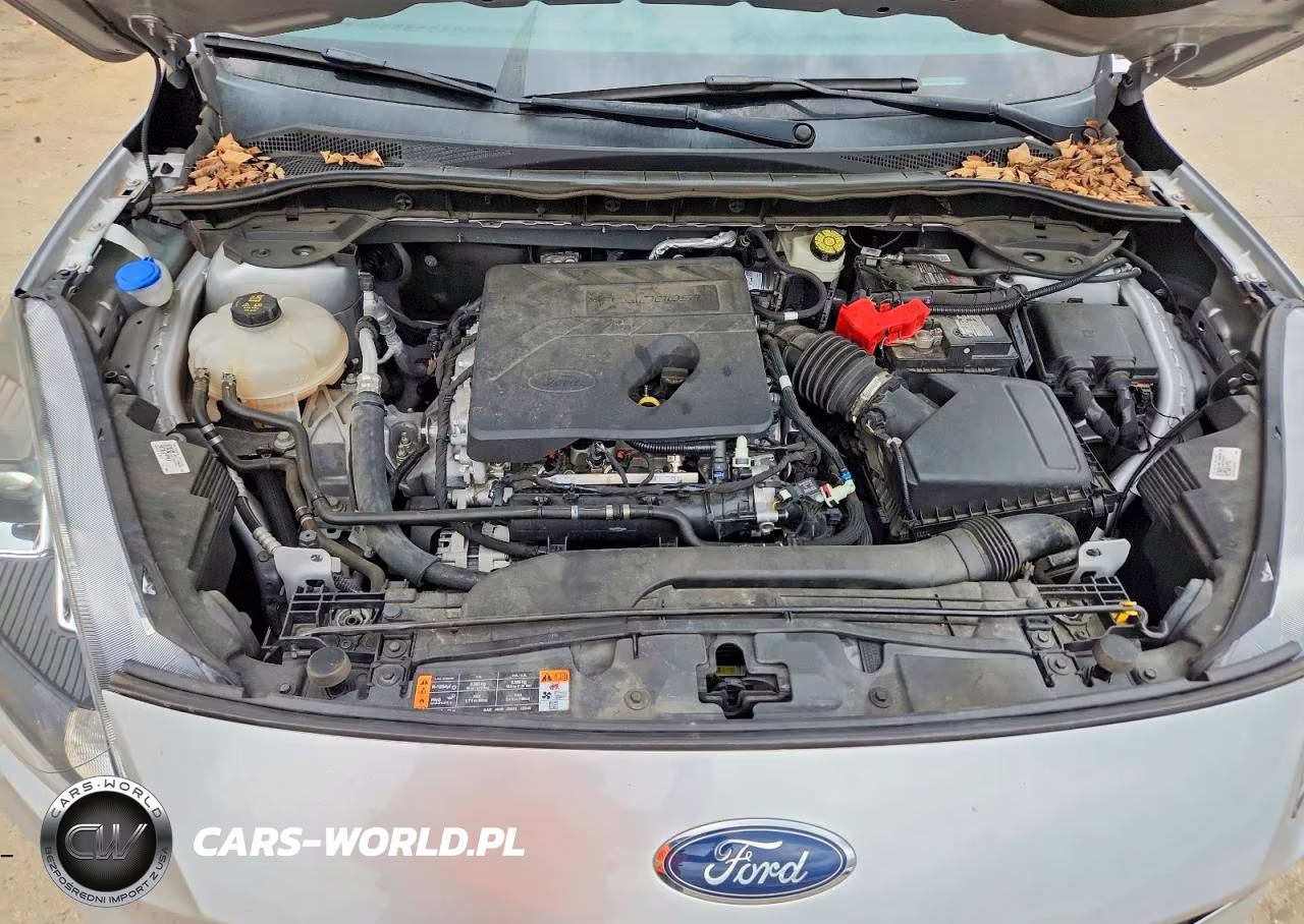 2020 Ford Escape Se VIN:1FMCU0G67LUB90206 - 12