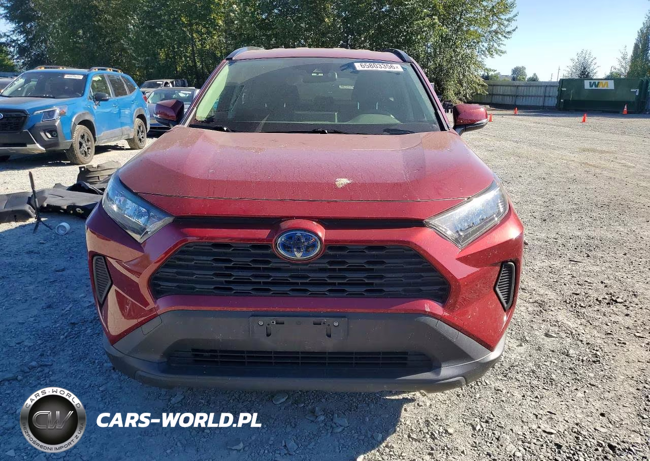 2019 Toyota Rav4 Le VIN:JTMMWRFV6KD021714 - 5