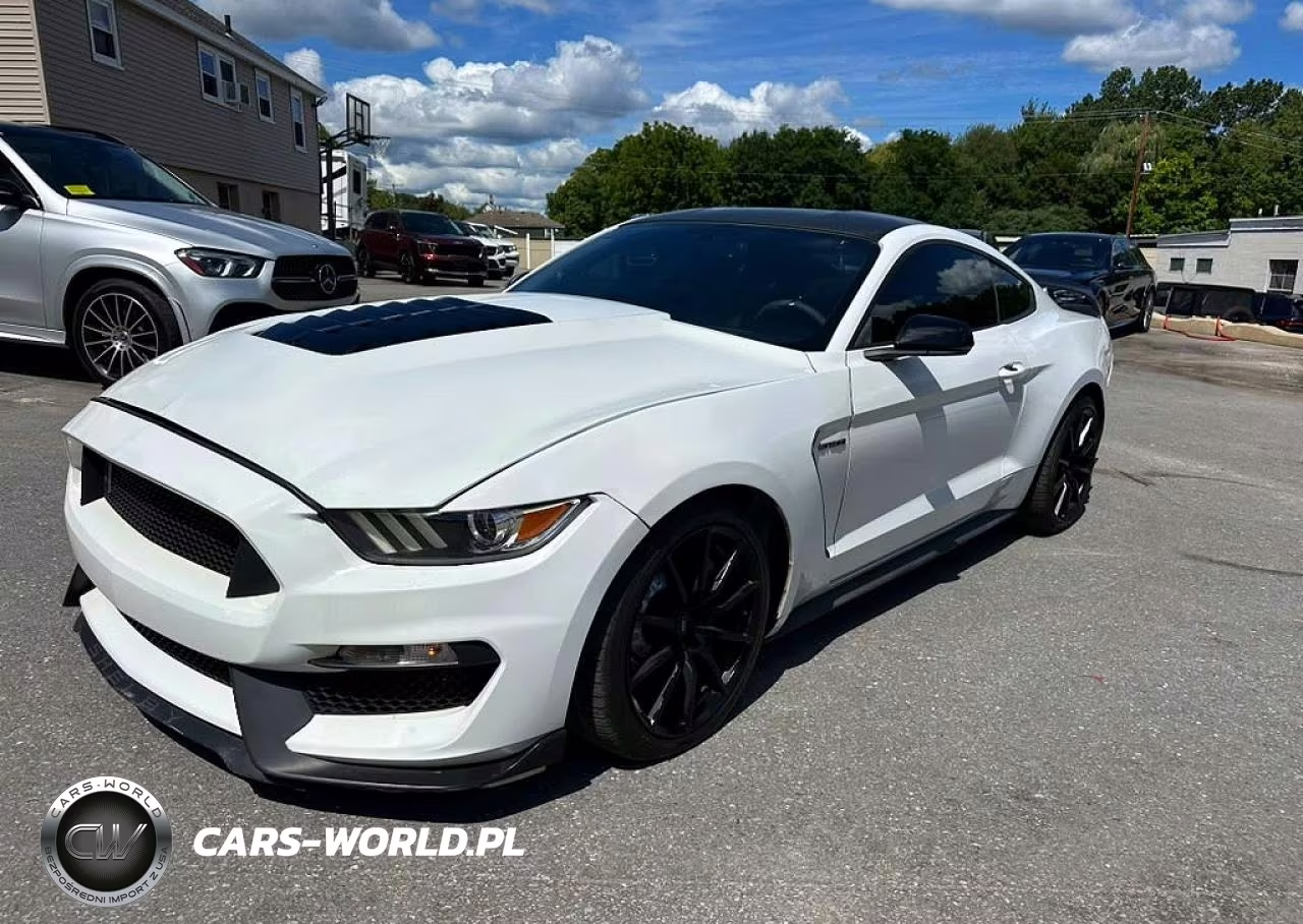 2017 Ford Mustang Shelby Gt350 – zdjęcie 1 z 10
