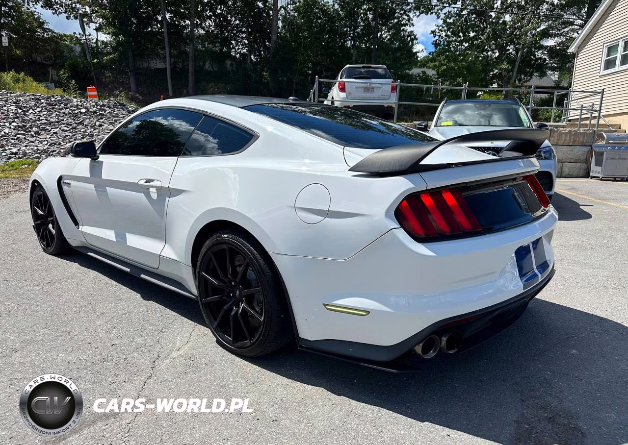 2017 Ford Mustang Shelby Gt350 VIN:1FA6P8JZXH5523533 - 2