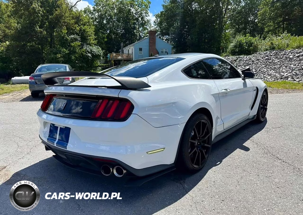 2017 Ford Mustang Shelby Gt350 VIN:1FA6P8JZXH5523533 - 3