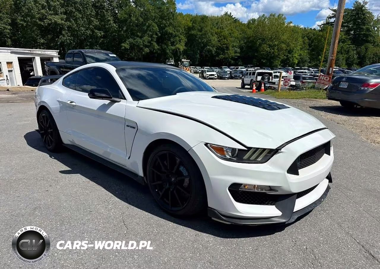 2017 Ford Mustang Shelby Gt350 VIN:1FA6P8JZXH5523533 - 4