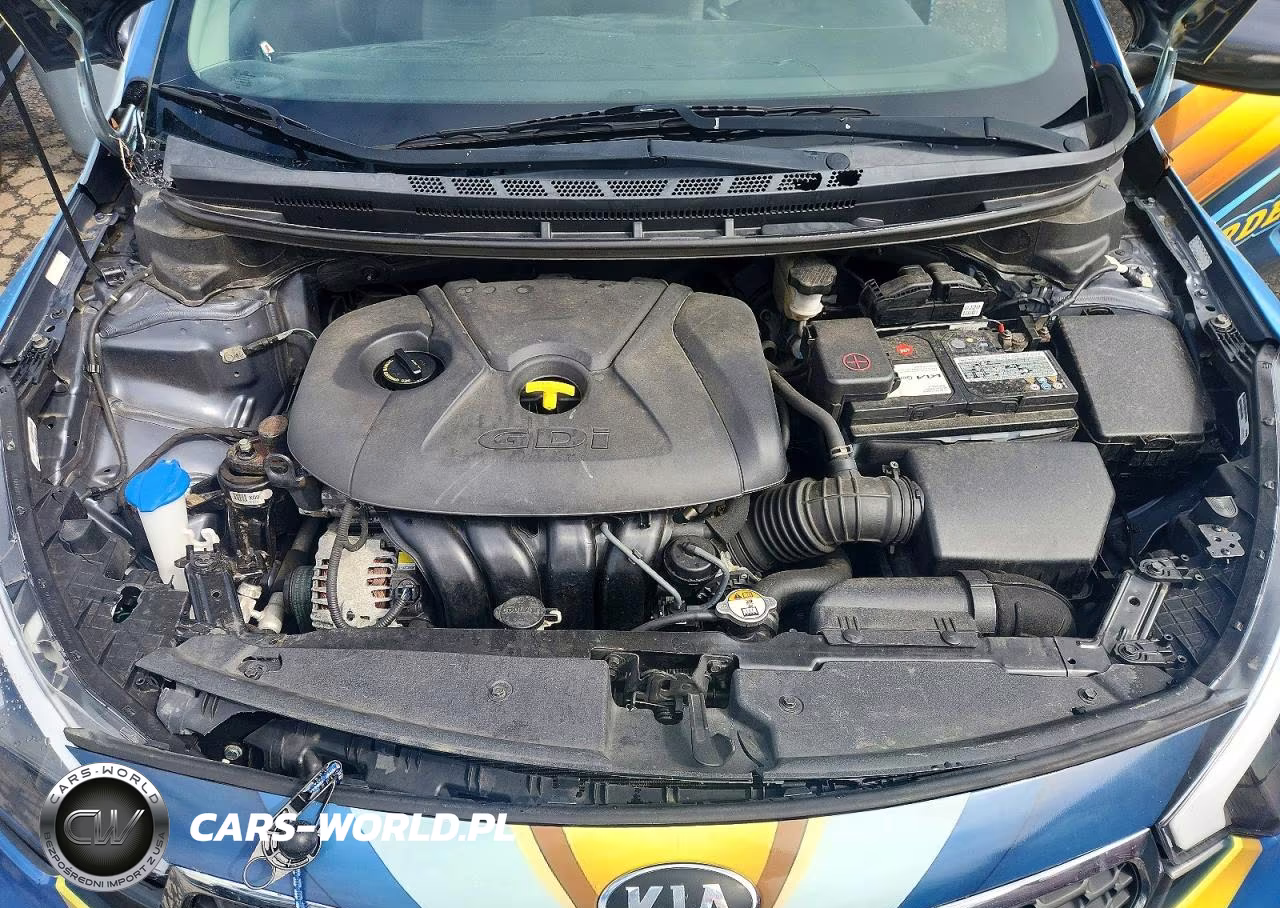 2016 Kia Forte5 Lx VIN:KNAFK5A83G5548669 - 11