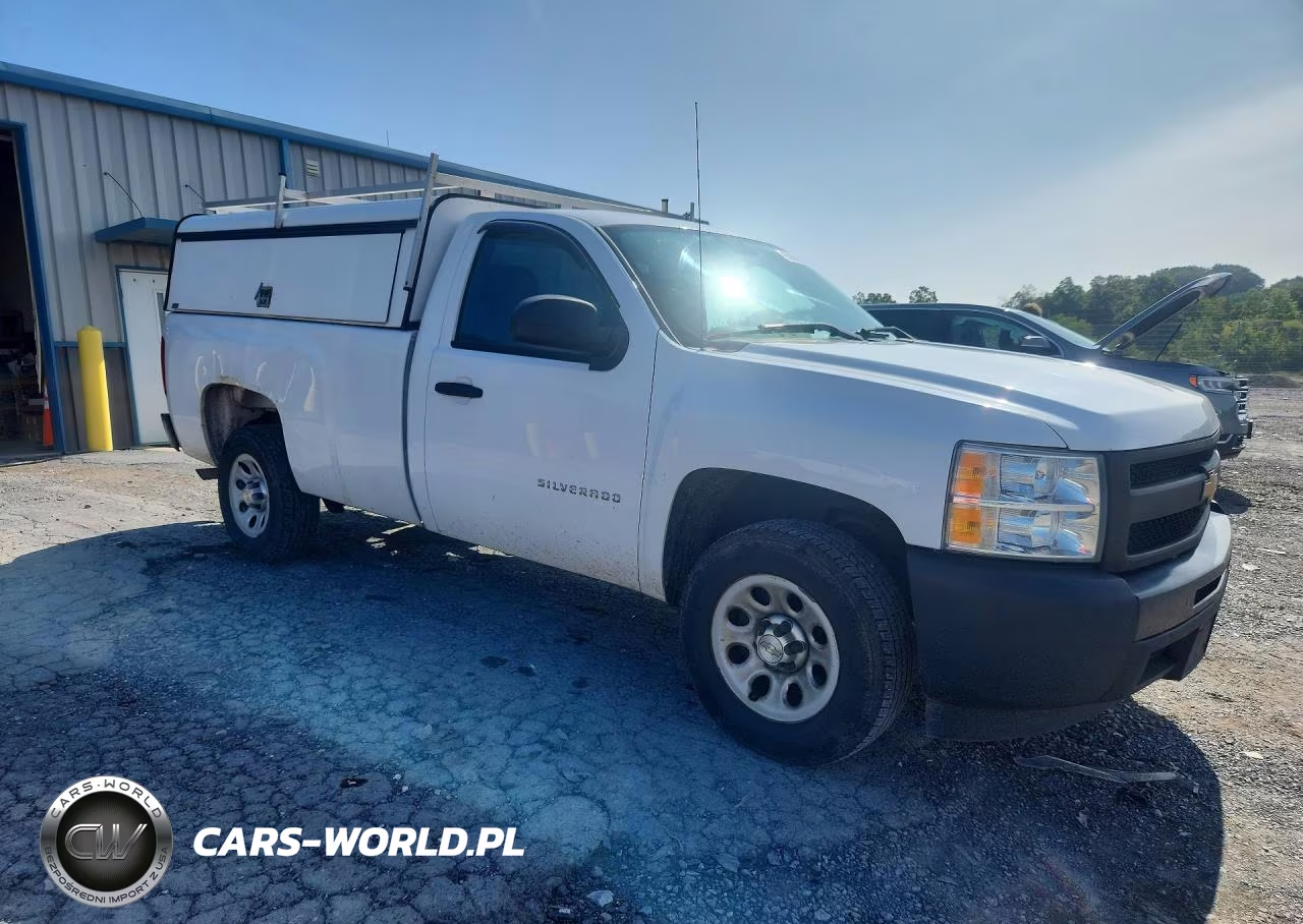 2012 Chevrolet Silverado C1500 VIN:1GCNCPEXXCZ346679 - 4