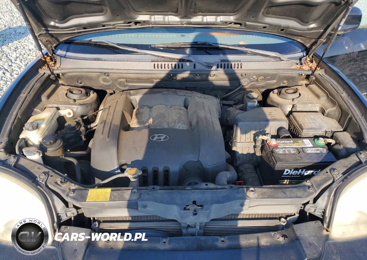 2004 Hyundai Santa Fe Gls VIN:KM8SC13DX4U769409 - 12
