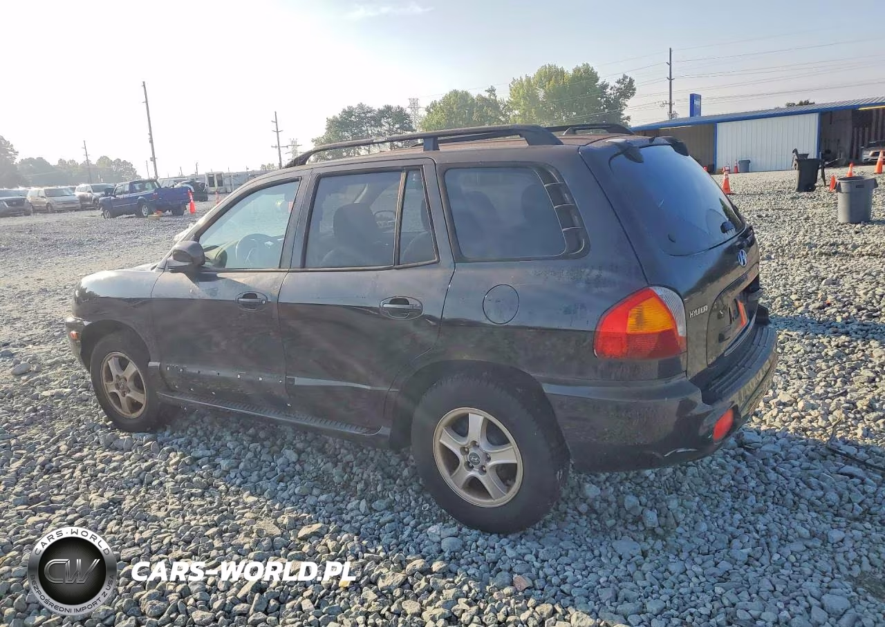 2004 Hyundai Santa Fe Gls VIN:KM8SC13DX4U769409 - 2