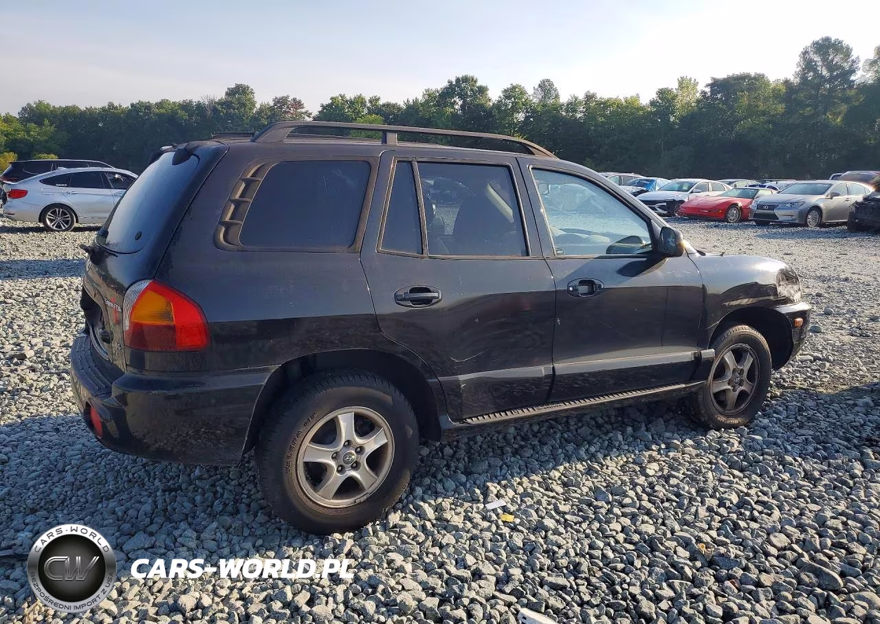 2004 Hyundai Santa Fe Gls VIN:KM8SC13DX4U769409 - 3