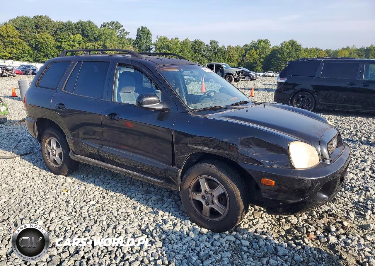 2004 Hyundai Santa Fe Gls VIN:KM8SC13DX4U769409 - 4