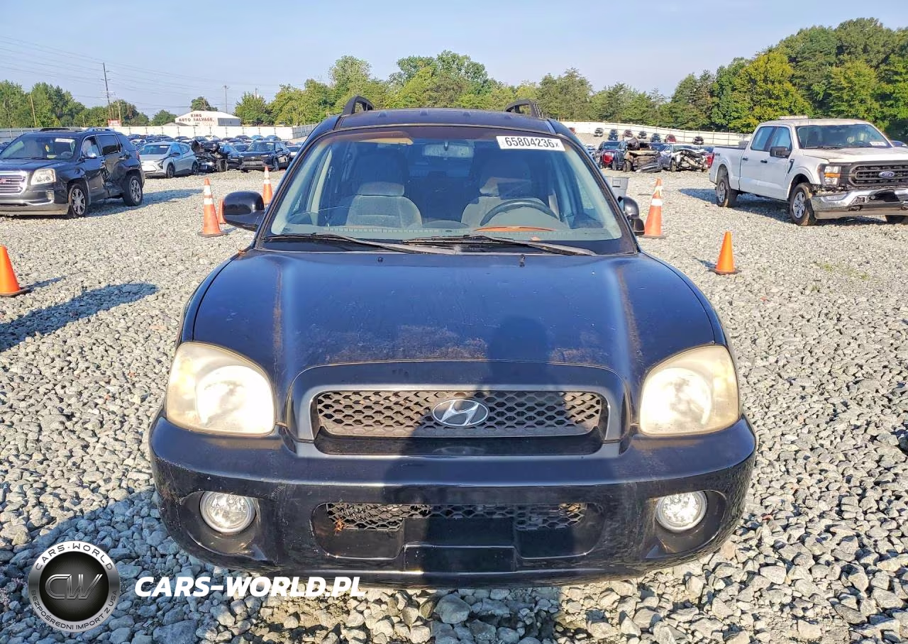 2004 Hyundai Santa Fe Gls VIN:KM8SC13DX4U769409 - 5