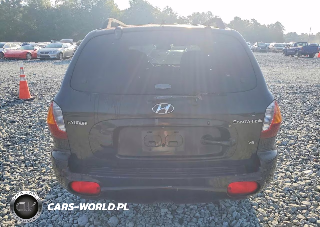 2004 Hyundai Santa Fe Gls VIN:KM8SC13DX4U769409 - 6
